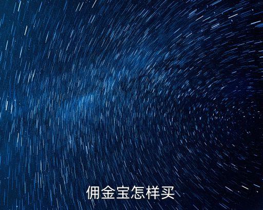 傭金寶怎樣買(mǎi)