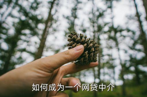 如何成為一個(gè)網(wǎng)貸中介