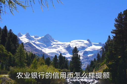 農(nóng)業(yè)銀行的信用幣怎么樣提額