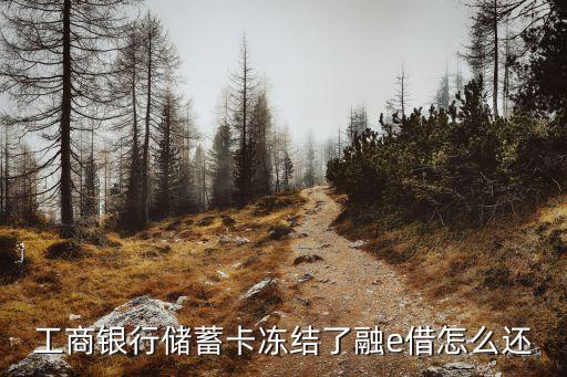 工商銀行儲蓄卡凍結(jié)了融e借怎么還