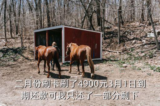 二月份刷卡刷了4900元3月1日到期還款可我只還了一部分剩下