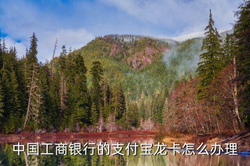 龍卡e付卡怎么辦理，如何辦理龍卡汽車卡