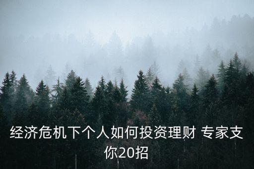 經(jīng)濟危機下個人如何投資理財 專家支你20招