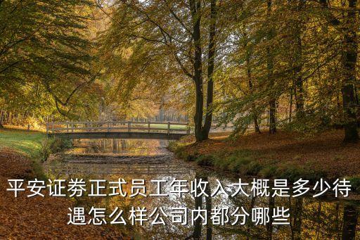 平安證劵正式員工年收入大概是多少待遇怎么樣公司內(nèi)都分哪些