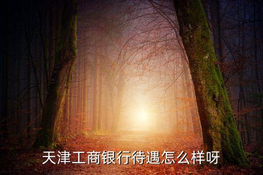 天津工行在五縣怎么樣，請(qǐng)問(wèn)在天津工商銀行工作的朋友在工行工作真的很累么