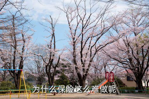 為什么保險這么難做呢
