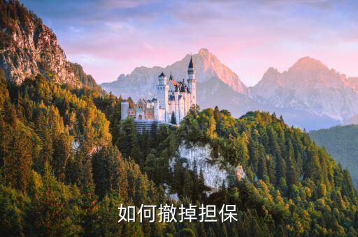 擔(dān)保人怎么取消擔(dān)保，如何撤掉擔(dān)保