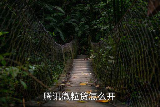 騰訊信用分怎么開通微粒貸，微信粒粒貸怎么開通