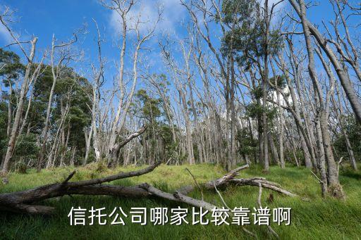 上海國際信托怎么樣，愛眼城眼鏡怎么樣