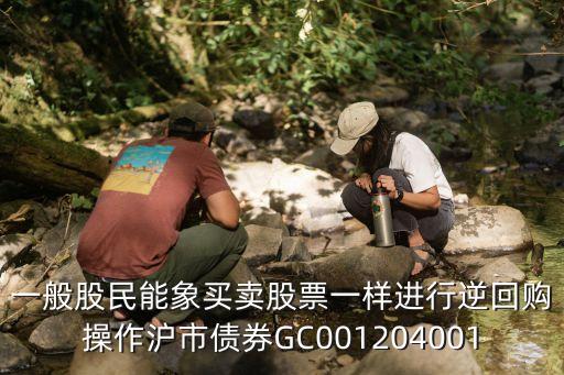 一般股民能象買賣股票一樣進(jìn)行逆回購操作滬市債券GC001204001