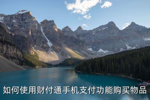 財付通怎么購物，如何使用財付通手機支付功能購買物品