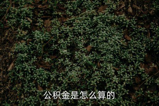 公積金費用怎么計算公式，公積金是怎么算的