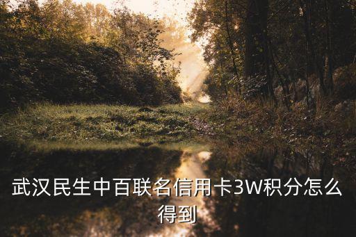 武漢民生中百聯(lián)名信用卡3W積分怎么得到