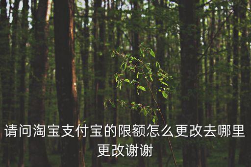 請問淘寶支付寶的限額怎么更改去哪里更改謝謝