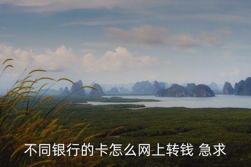 不同銀行的卡怎么網(wǎng)上轉(zhuǎn)錢 急求