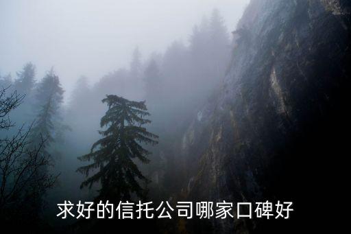 五礦信托口碑怎么樣，Bingolaga口碑如何啊
