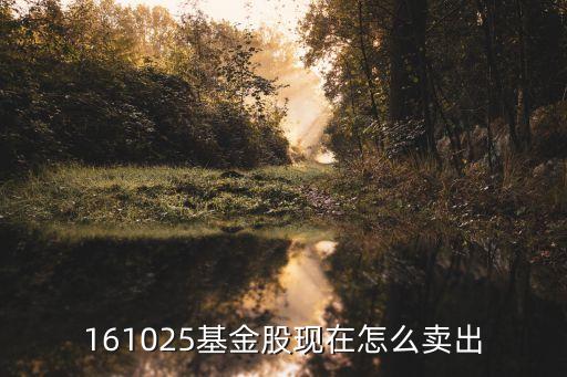 161025怎么贖回，海通證券如何贖回161024基金