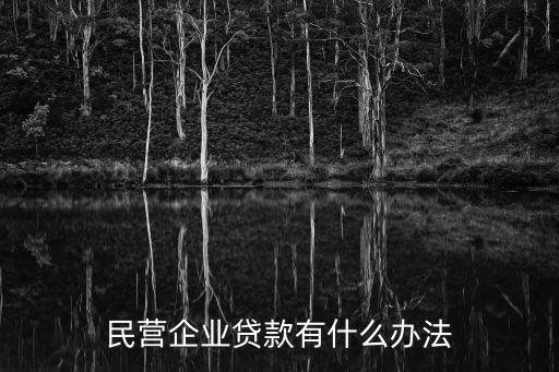 民營(yíng)企業(yè)貸款有什么辦法