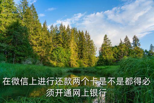 在微信上進(jìn)行還款兩個(gè)卡是不是都得必須開通網(wǎng)上銀行