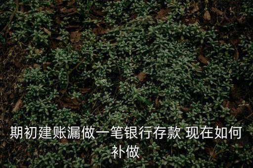 去年有一筆銀行存現(xiàn)未做怎么辦，前年度漏記一筆借方銀行存款要怎么補(bǔ)