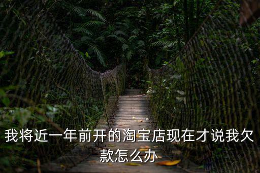 我將近一年前開的淘寶店現(xiàn)在才說我欠款怎么辦