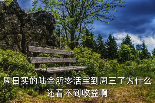 周日買的陸金所零活寶到周三了為什么還看不到收益啊