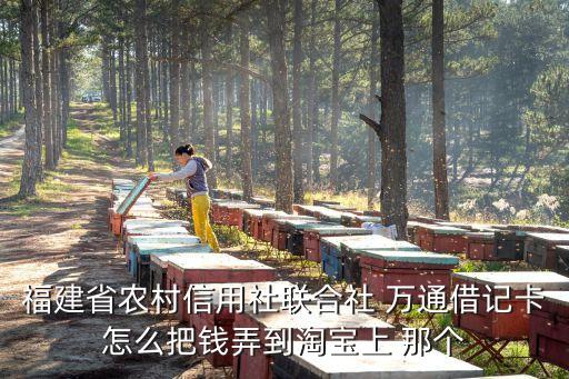 福建農(nóng)信怎么驗證，福建省農(nóng)村信用社聯(lián)合社 萬通借記卡怎么把錢弄到淘寶上 那個
