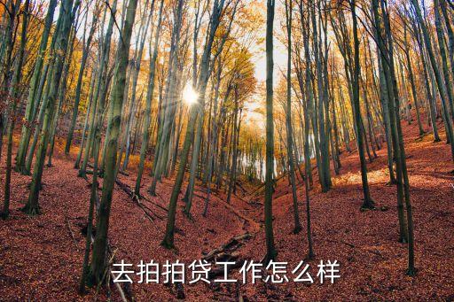 去拍拍貸工作怎么樣