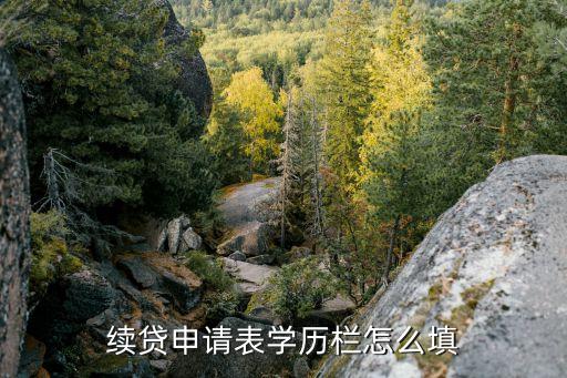 貸款的學(xué)歷要怎么填，國家開發(fā)銀行助學(xué)貸款學(xué)歷怎么填
