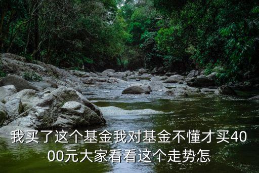 博達(dá)富通基金怎么樣，我買了這個(gè)基金我對(duì)基金不懂才買4000元大家看看這個(gè)走勢(shì)怎