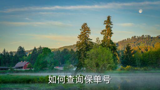 怎么查詢保險(xiǎn)單號(hào)，保單號(hào)要怎么查詢