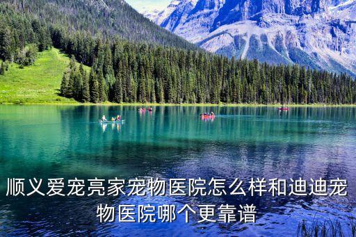 51卡寶怎么樣，順義愛(ài)寵亮家寵物醫(yī)院怎么樣和迪迪寵物醫(yī)院哪個(gè)更靠譜