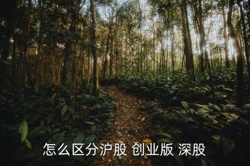 創(chuàng)業(yè)板和深市怎么區(qū)分，怎么區(qū)分滬股 創(chuàng)業(yè)版 深股
