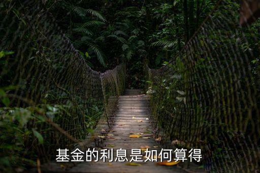 基金的利率怎么算，基金利率怎么計算