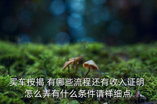 買車按揭 有哪些流程還有收入證明 怎么弄有什么條件請(qǐng)祥細(xì)點(diǎn)