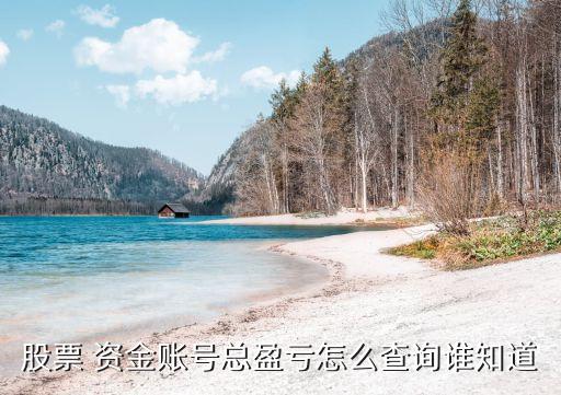 怎么看股票賬戶盈虧，股票 資金賬號總盈虧怎么查詢誰知道