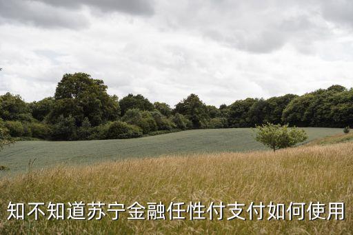 蘇寧任性付支付怎么用，如何使用蘇寧任性付消費(fèi)