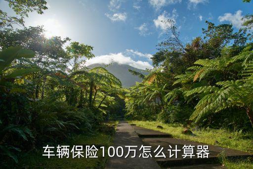 車輛保險(xiǎn)100萬怎么計(jì)算器