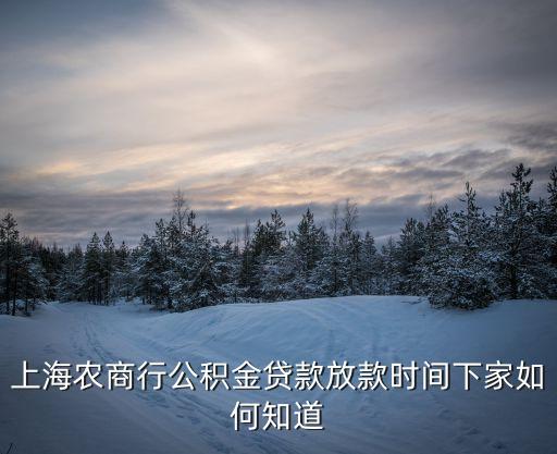 上海農(nóng)商行公積金放款怎么查詢(xún)，上海農(nóng)商行公積金貸款放款時(shí)間下家如何知道