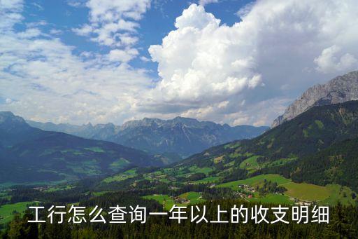 工行怎么查詢一年以上的收支明細(xì)