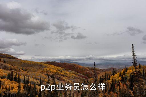 p2p理財業(yè)務(wù)員怎么樣，p2p理財業(yè)務(wù)員好做嗎經(jīng)歷過的介紹一下