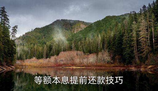 等額本息提前還款技巧