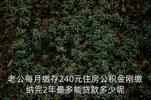 老公每月繳存240元住房公積金剛繳納完2年最多能貸款多少呢