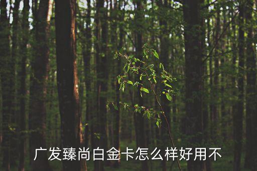廣發(fā)臻尚白金卡怎么樣好用不