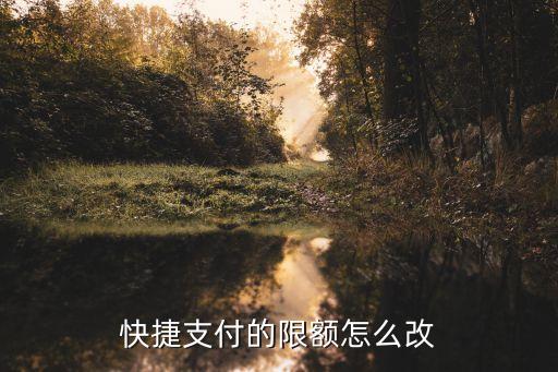快捷支付怎么限額，快捷一筆最大額度是多少