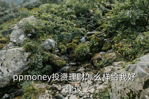 ppmoney投資理財(cái)怎么樣給我好建議