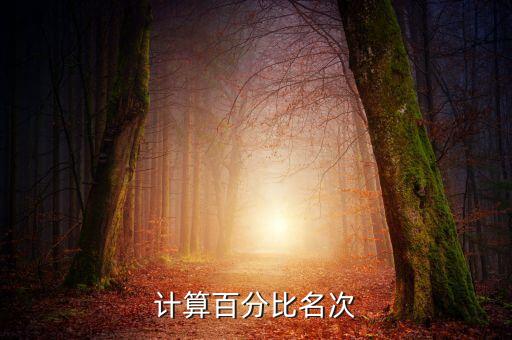 計(jì)算百分比名次