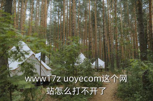 www17z uoyecom這個網站怎么打不開了