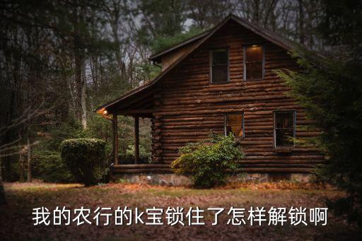 我的農(nóng)行的k寶鎖住了怎樣解鎖啊