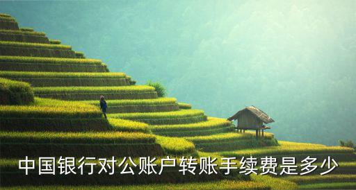 中國銀行對公賬戶轉(zhuǎn)賬手續(xù)費(fèi)是多少